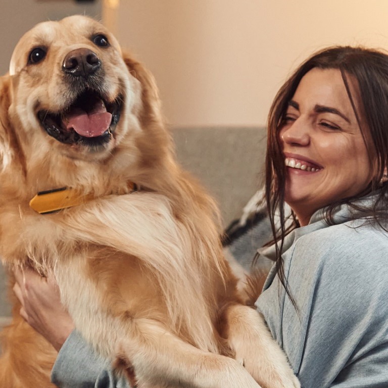 Pet Boarding Insurance Dog Boarding Insurance Cattery And Kennel